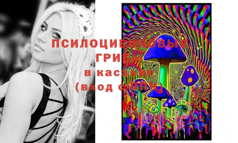 Галлюциногенные грибы Magic Shrooms  нарко площадка телеграм  Ейск 