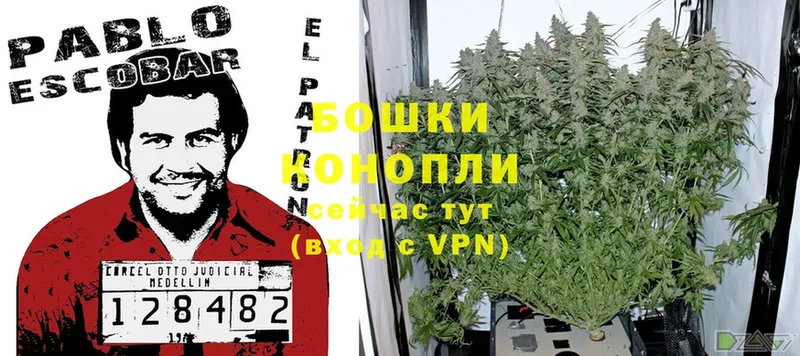 Марихуана SATIVA & INDICA  закладки  Ейск 